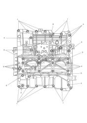 Crankcase Screws