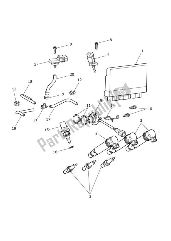 Toutes les pièces pour le Engine Management du Triumph Tiger 900 Rally 888 2020 - 2024