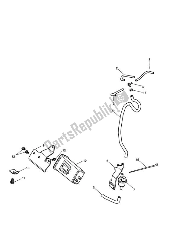 All parts for the Evap System of the Triumph Daytona 675 UP TO VIN 381274 2006 - 2012