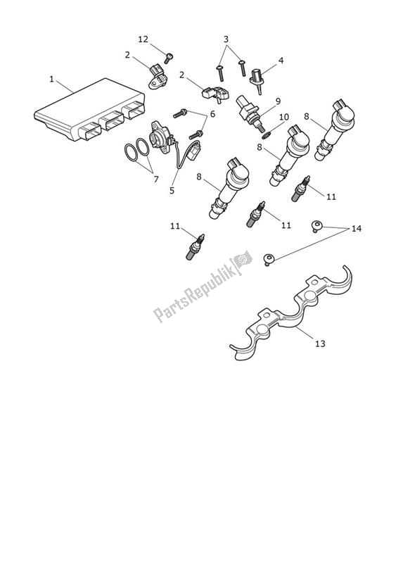 Alle onderdelen voor de Engine Management van de Triumph Tiger 1200 GT 1215 2022 - 2024