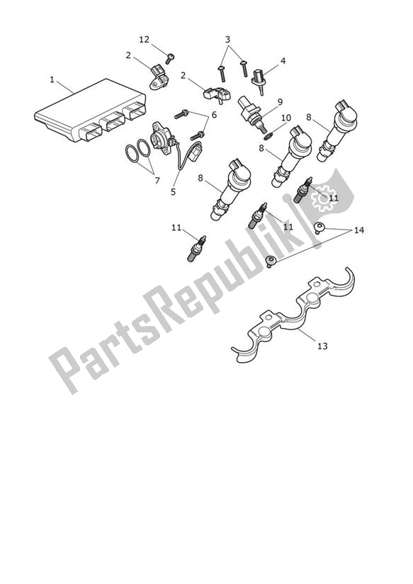 Todas as partes de Engine Management do Triumph Tiger 1200 Rally PRO 1215 2022 - 2024