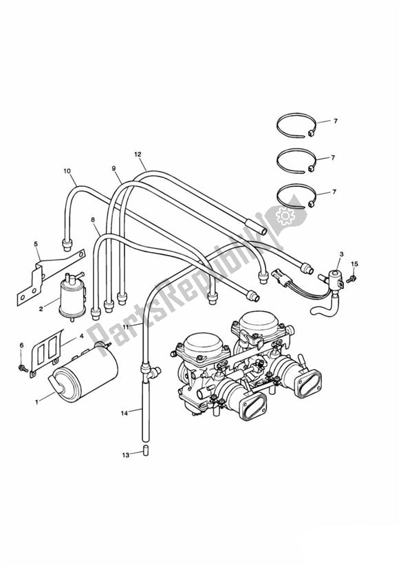 All parts for the Evap System Ca Up To Vin254756 of the Triumph America Carburator 790 2001 - 2007