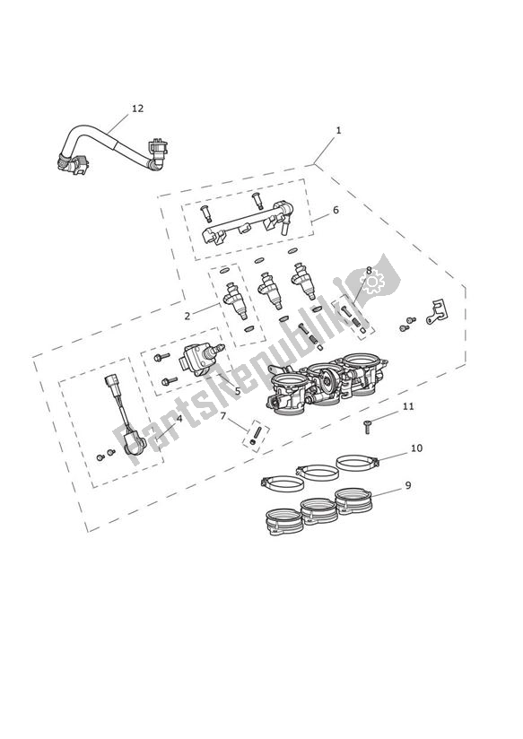 Alle onderdelen voor de Injection van de Triumph Street Triple R & RX From VIN 560477 675 2012 - 2016