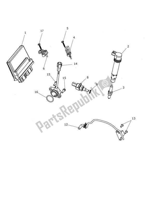 All parts for the Engine Management of the Triumph Tiger 1200 SE Desert 1215 2018 - 2020