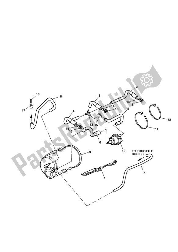 All parts for the Evap System California & Hong Kong of the Triumph Sprint GT 1050 2011 - 2016