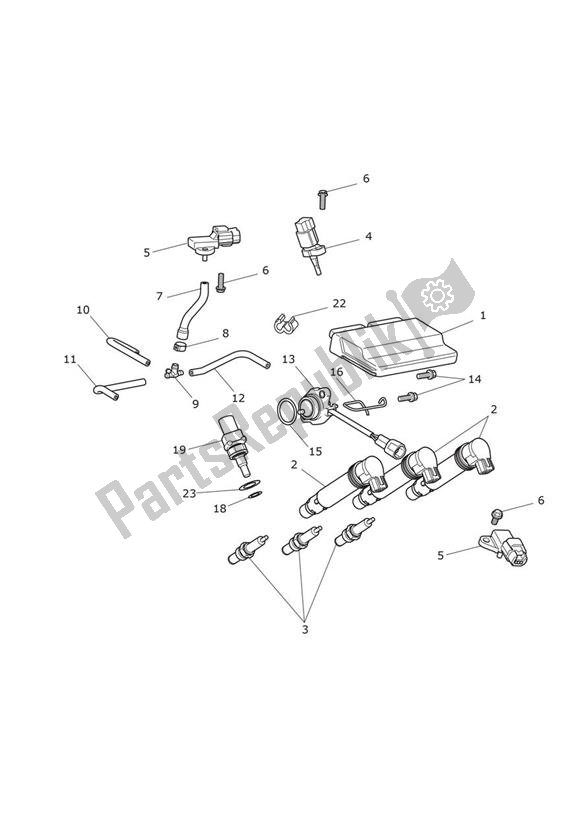 Todas las partes para Engine Management de Triumph Street Triple Moto2 765 2020 - 2024