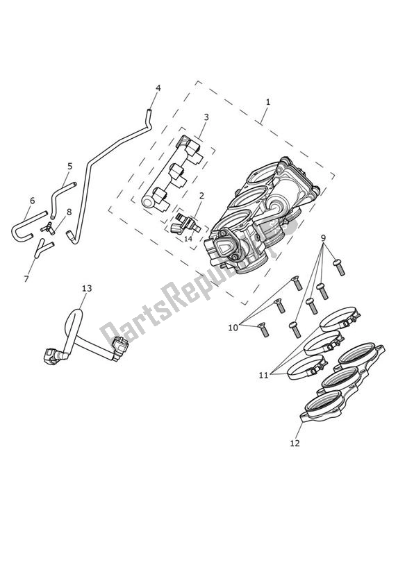 All parts for the Injection of the Triumph Speed Triple R From VIN 735437 1050 2016 - 2018