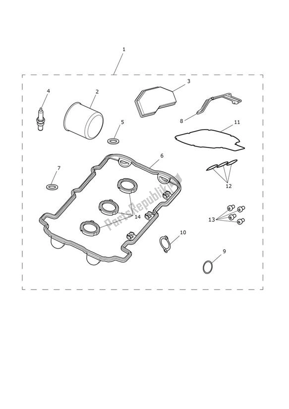 Todas las partes para Servicekit de Triumph Speed Triple R From VIN 735437 1050 2016 - 2018