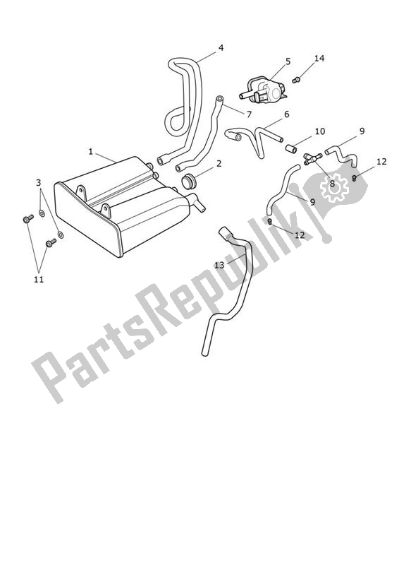 Tutte le parti per il Evap System del Triumph Thruxton RS 1200 2020 - 2024