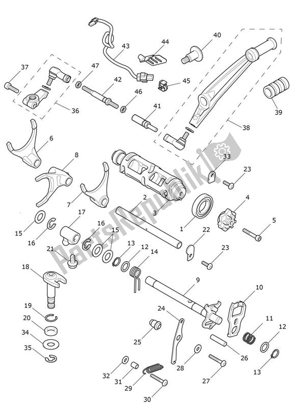 Tutte le parti per il Gear Selection Shaft Gear Selector Drum del Triumph Rocket 3 GT Black 2458 2021