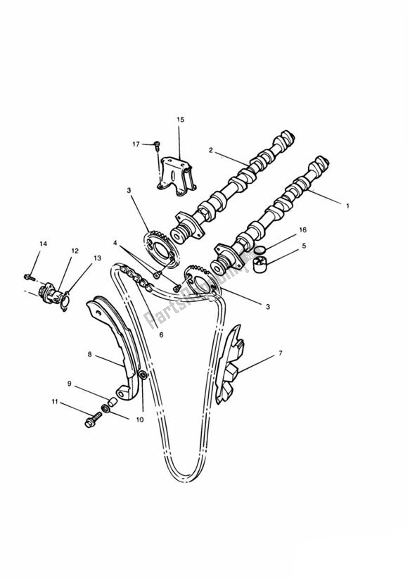 All parts for the Camshafts Timing Chain of the Triumph Speed Triple Carburator 885 1994 - 1997