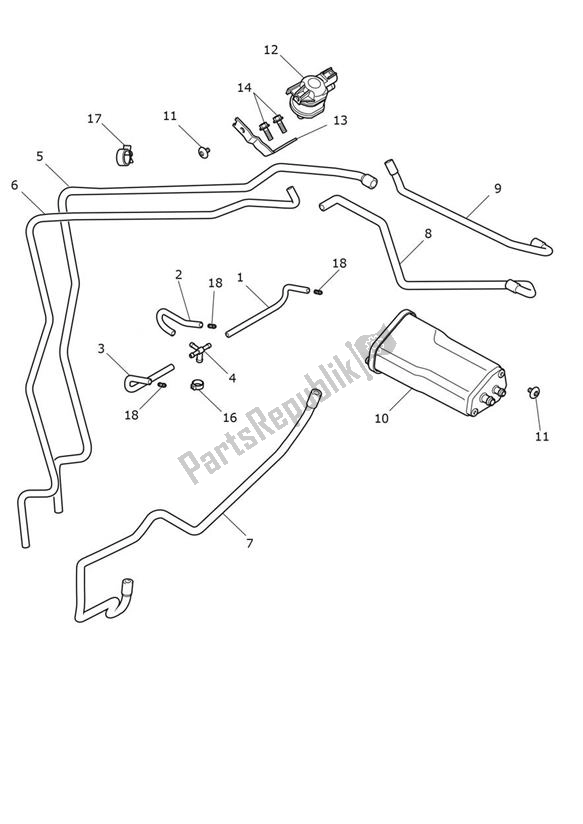 All parts for the Evap System of the Triumph Tiger 900 Rally 888 2020 - 2024