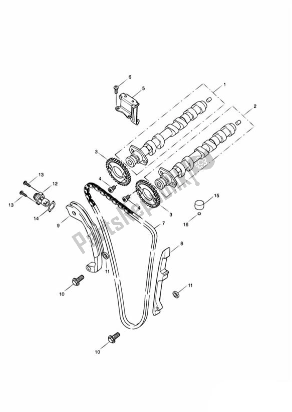 Tutte le parti per il Camshafts Timing Chain del Triumph Speed Triple 955I From VIN 141872 2002 - 2004
