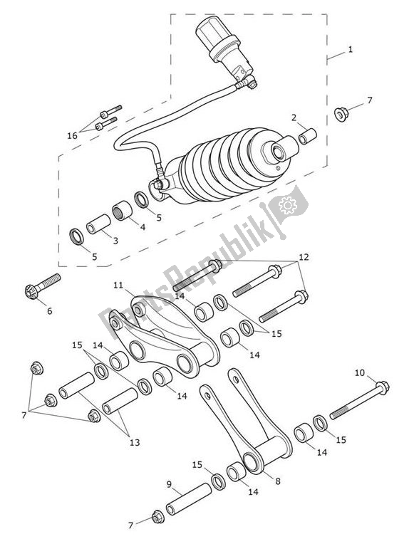 Alle onderdelen voor de Achtervering Unit van de Triumph Tiger 660 Sport 2021 - 2024