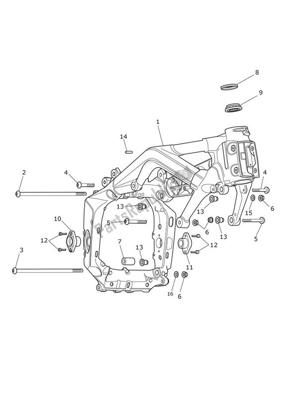 Toutes les pièces pour le Main Frame Assembly Without Crashpad du Triumph Daytona 675 From VIN 564948 2017 - 2018