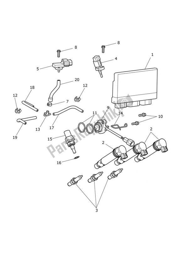 All parts for the Engine Management of the Triumph Tiger 900 Rally PRO UP TO BP 4995 888 2020 - 2021