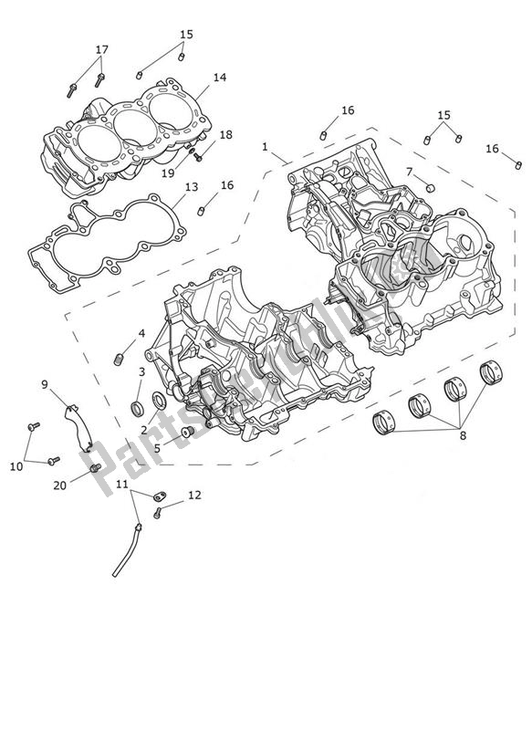 Todas as partes de Bloco Do Motor do Triumph Speed Triple 1200 RR 1160 2021 - 2024