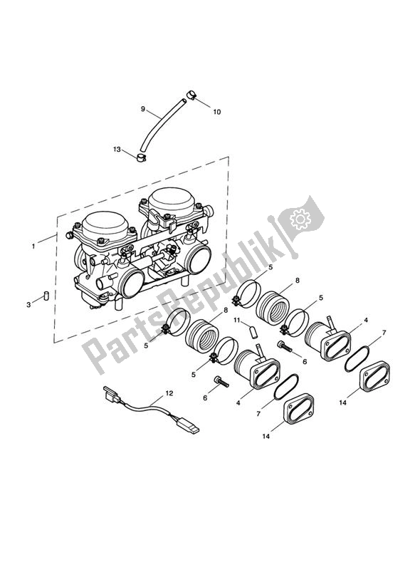 Alle onderdelen voor de Carburator van de Triumph America Carburator 790 2001 - 2007