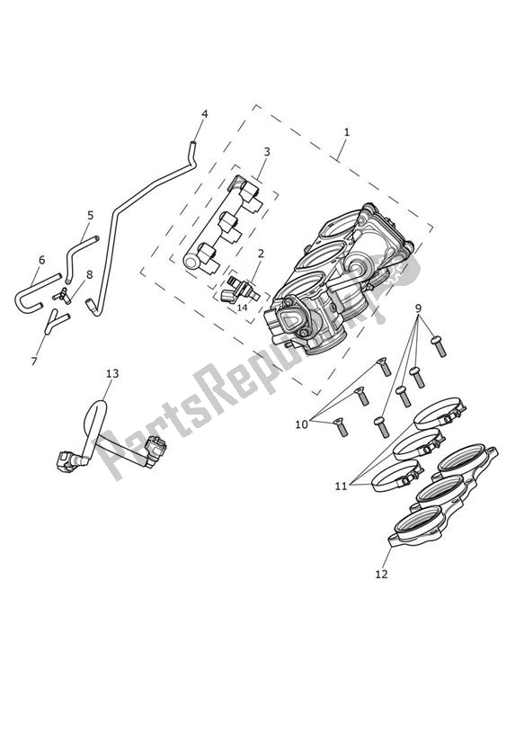 All parts for the Injection of the Triumph Speed Triple S From VIN 735438 1050 2016 - 2018