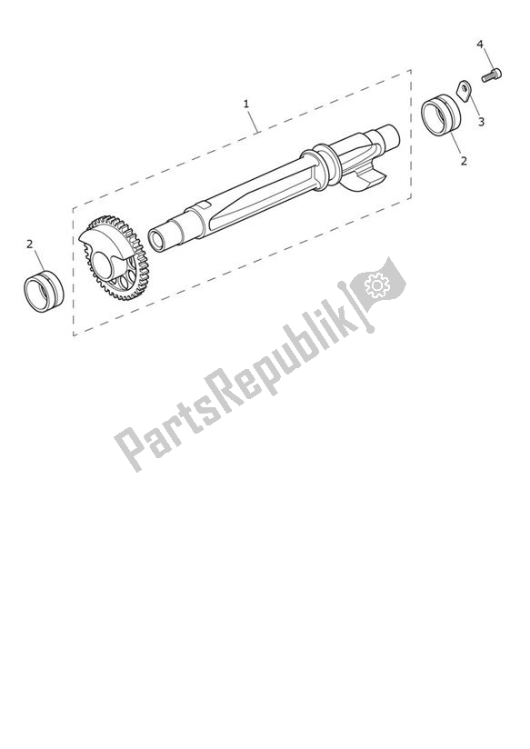 Toutes les pièces pour le Arbre D'équilibrage du Triumph Speed Triple 1200 RR 1160 2021 - 2024