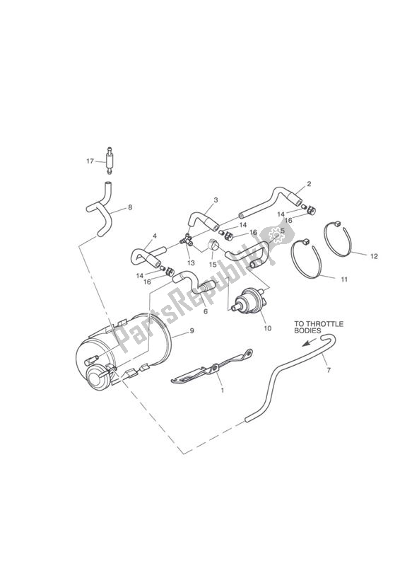 All parts for the Evap System California of the Triumph Speed Triple 1050 From VIN 333179 2011 - 2015