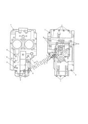 Crankcase Screws