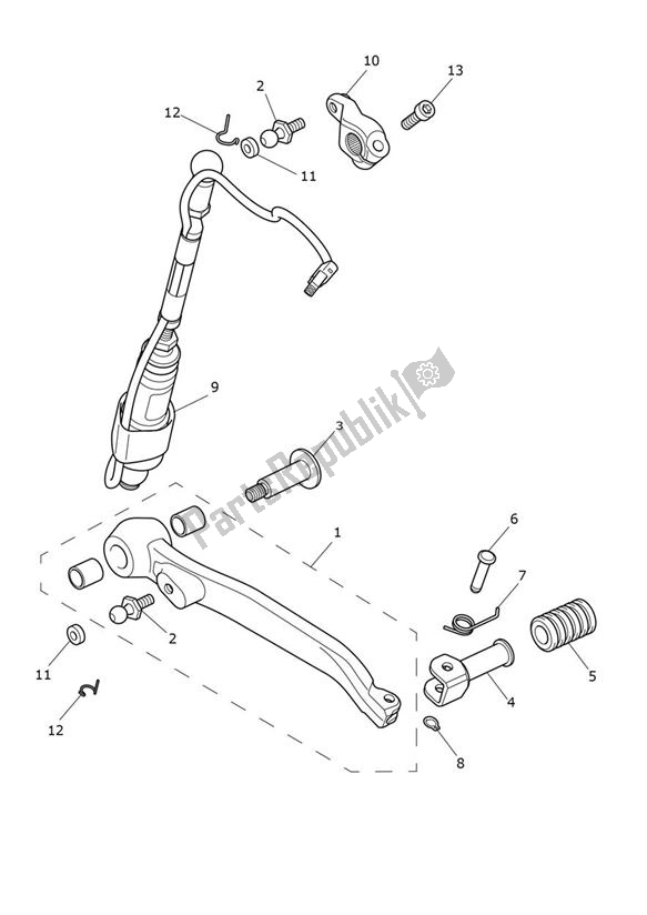 All parts for the Pedal Gears of the Triumph Tiger 1200 Rally PRO 1215 2022 - 2024