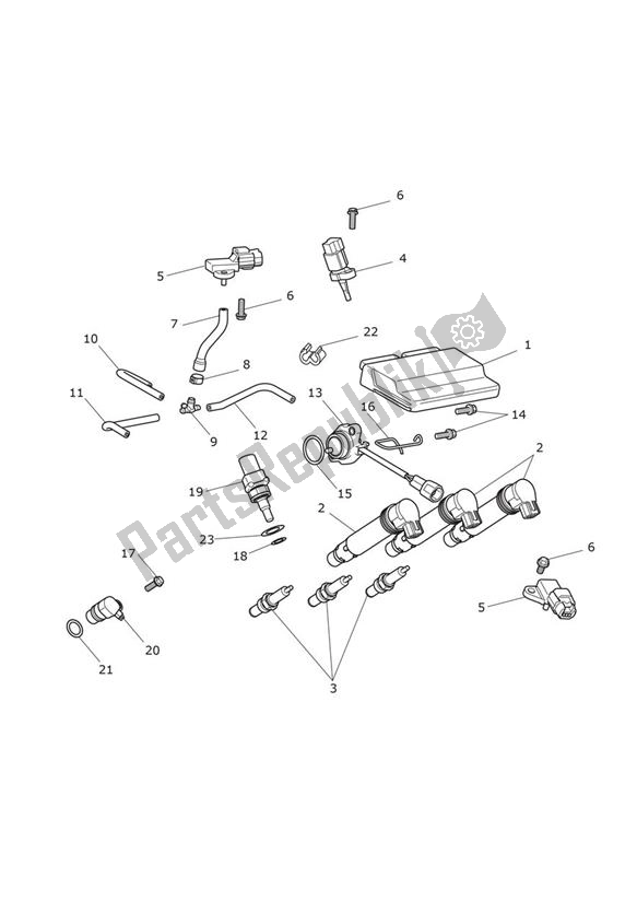 All parts for the Engine Management of the Triumph Street Triple RS From VIN 966534 765 2020 - 2024