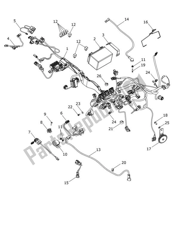 Toutes les pièces pour le équipement électrique du Triumph Street Triple Moto2 765 2020 - 2024