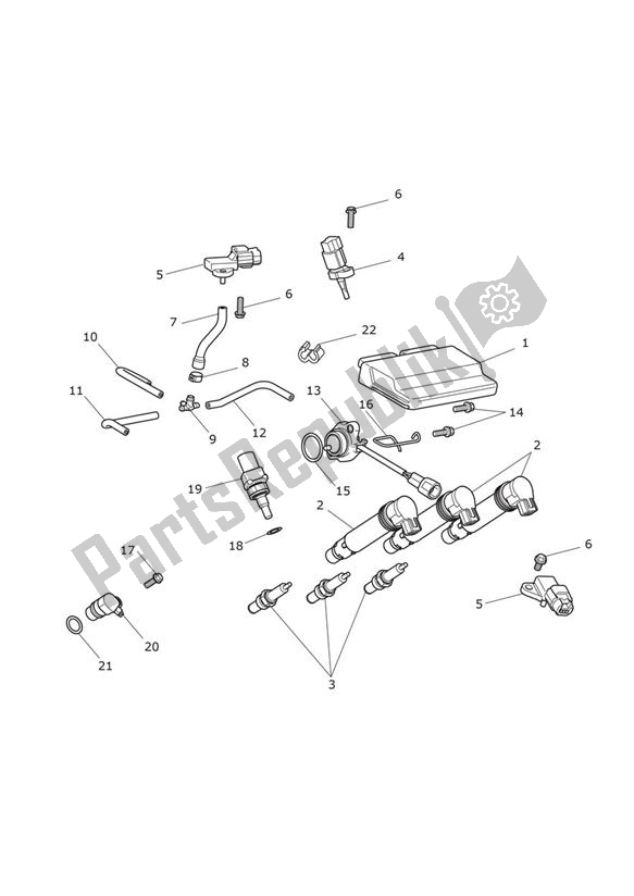 All parts for the Engine Management of the Triumph Street Triple R From VIN 982752 765 2021 - 2024