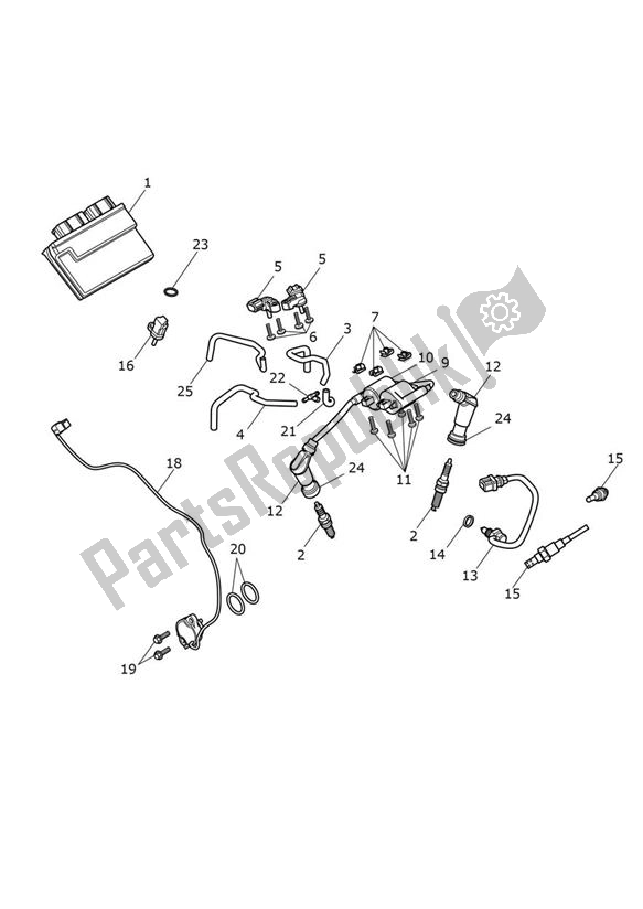 All parts for the Engine Management - Speed Twin Up To Vin Ae2310 of the Triumph Speed Twin UP TO VIN AE 2310 1200 2019 - 2020