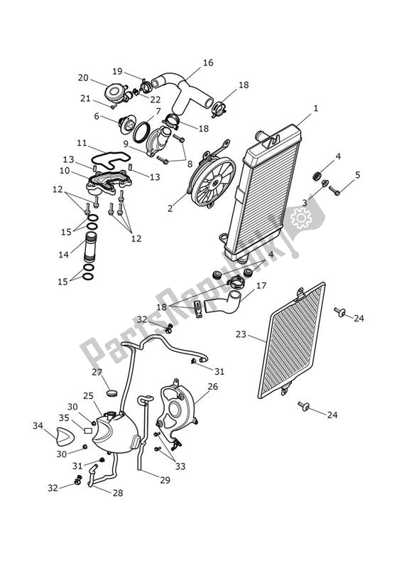 Wszystkie części do Ch? Odzenie Triumph Thruxton RS 1200 2020 - 2024