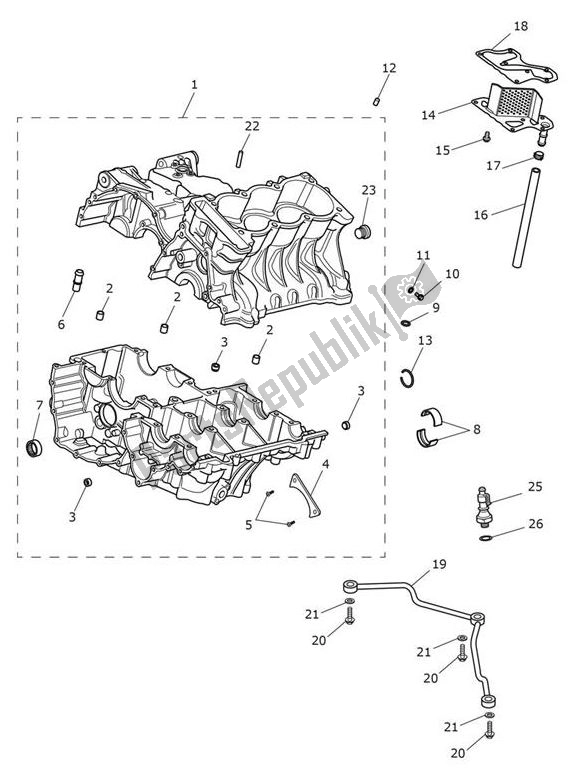 Wszystkie części do Korbowód Triumph Speed Triple RS From VIN 867601 1050 2018 - 2020