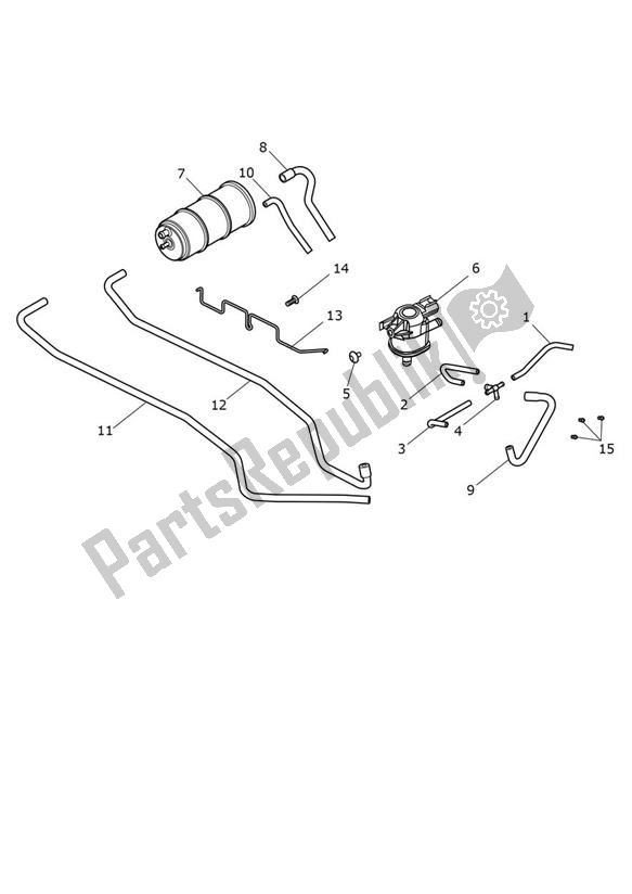 Todas las partes para Evap System de Triumph Street Triple Moto2 765 2020 - 2024