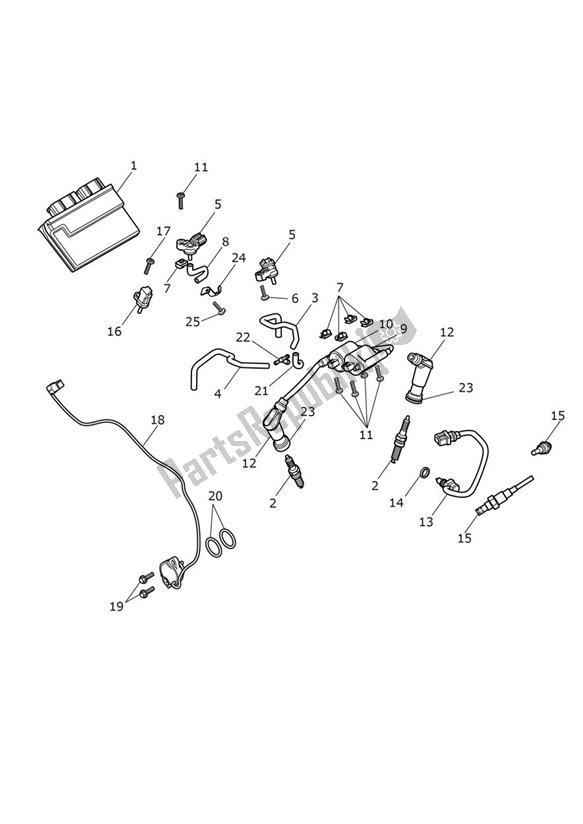 All parts for the Engine Management of the Triumph Bonneville T 120 Black UP TO VIN AD 0138 +acecafe 1200 2021