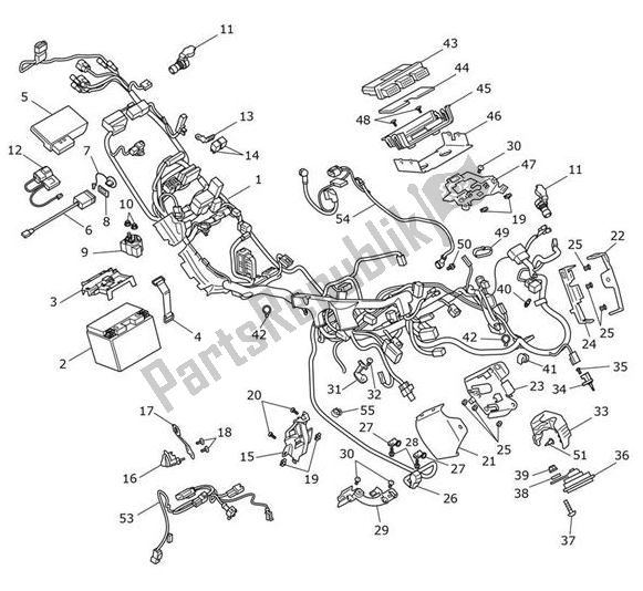 Tutte le parti per il Materiale Elettrico del Triumph Tiger 1200 Rally Explorer 1215 2022 - 2024