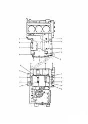 Crankcase Screws