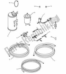 EVAP System US Cal