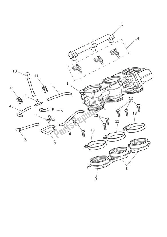 Tutte le parti per il Injection del Triumph Speed Triple 1200 RR 1160 2021 - 2024