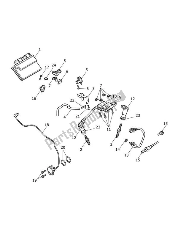 All parts for the Engine Management of the Triumph Thruxton R 1200 2016 - 2020