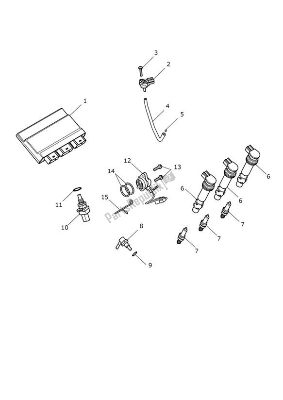 All parts for the Engine Management of the Triumph Trident 660 2020 - 2024