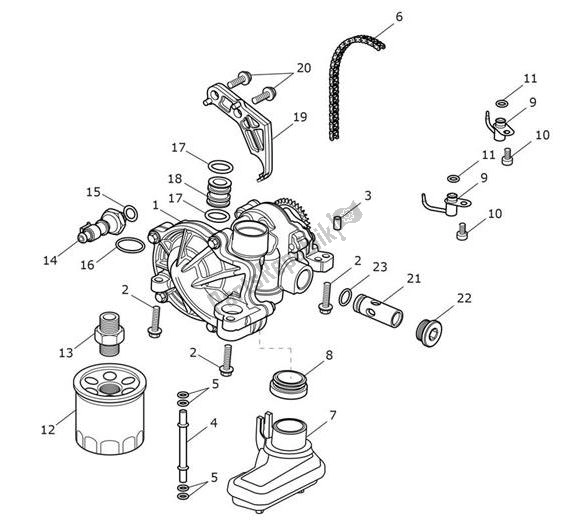 Toutes les pièces pour le Oilpump Lubrication - Street Cup du Triumph Street CUP 900 2017 - 2020