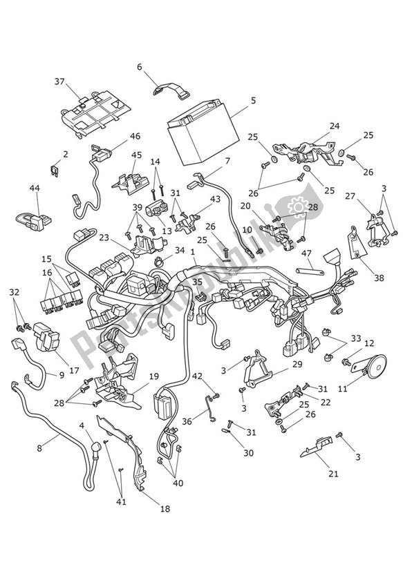 All parts for the Electrical Equipment - Speed Twin 900 of the Triumph Speed Twin 900 2019 - 2021