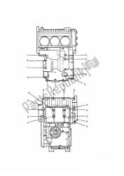 Crankcase Screws