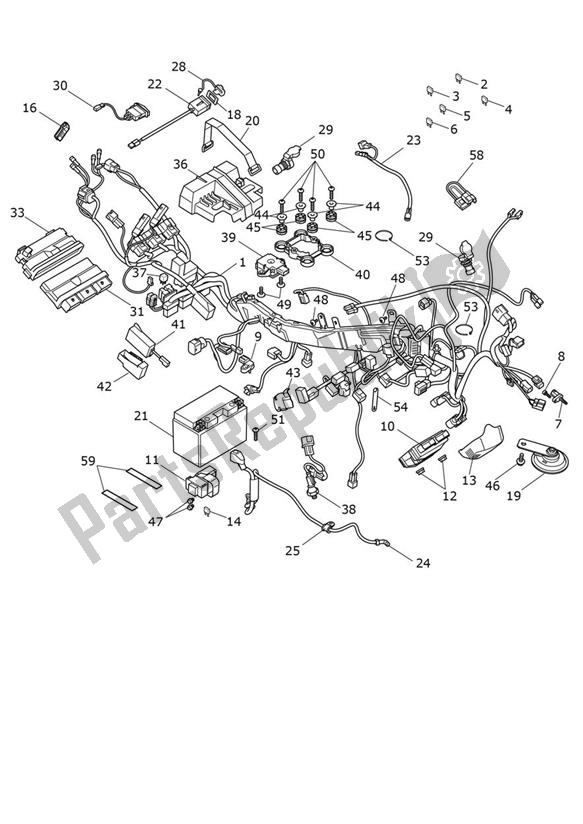 Alle onderdelen voor de Elektrische Apparatuur van de Triumph Tiger 900 Rally PRO UP TO BP 4995 888 2020 - 2021