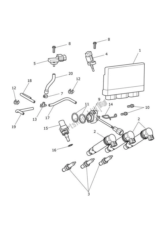 All parts for the Engine Management of the Triumph Tiger 900 GT UP TO BP 6440 888 2020 - 2021