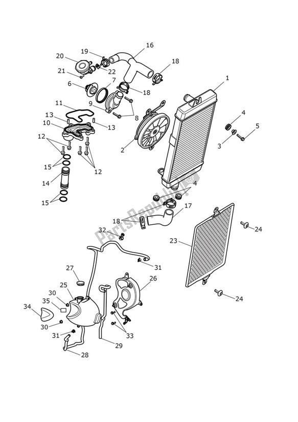 Todas as partes de Resfriamento do Triumph Thruxton R 1200 2016 - 2020