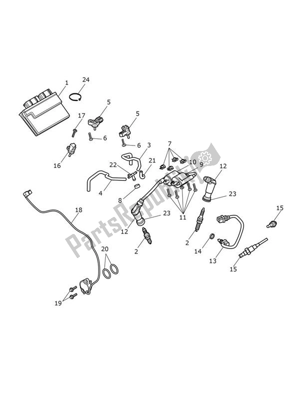 All parts for the Engine Management - Speed Twin From Vin Ae2311 of the Triumph Speed Twin From VIN AE 2311 1200 2021 - 2024