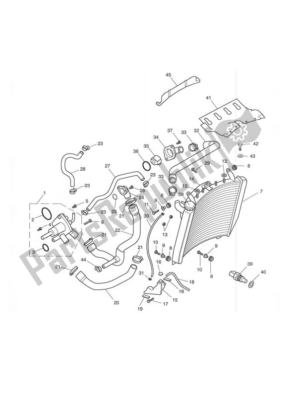 Tutte le parti per il Raffreddamento del Triumph Daytona 600 & 650 599 2003 - 2005