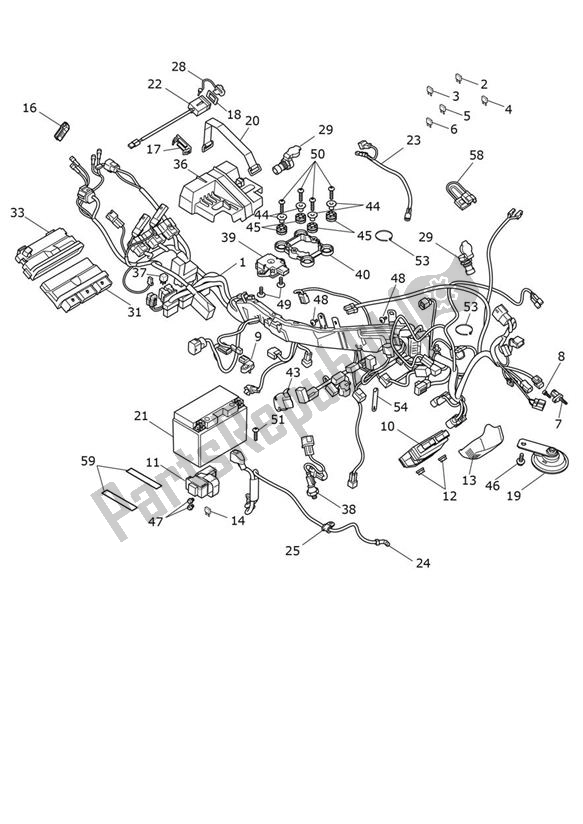 Tutte le parti per il Materiale Elettrico del Triumph Tiger 900 GT UP TO BP 6440 888 2020 - 2021